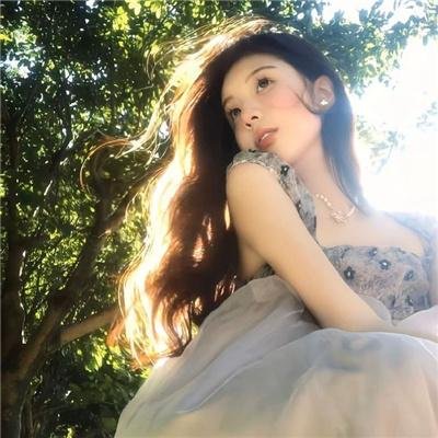 大唐女巡按