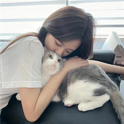 冷月伴君归